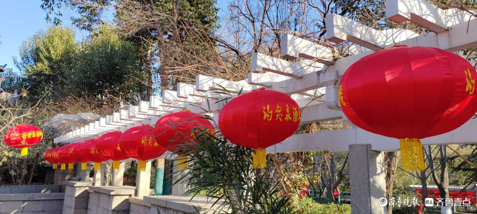 好景山东|红红火火！济南趵突泉大红灯笼高高挂，节日氛围感满满
