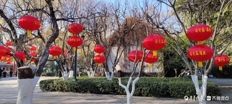好景山东|红红火火！济南趵突泉大红灯笼高高挂，节日氛围感满满