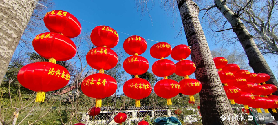好景山东|红红火火！济南趵突泉大红灯笼高高挂，节日氛围感满满