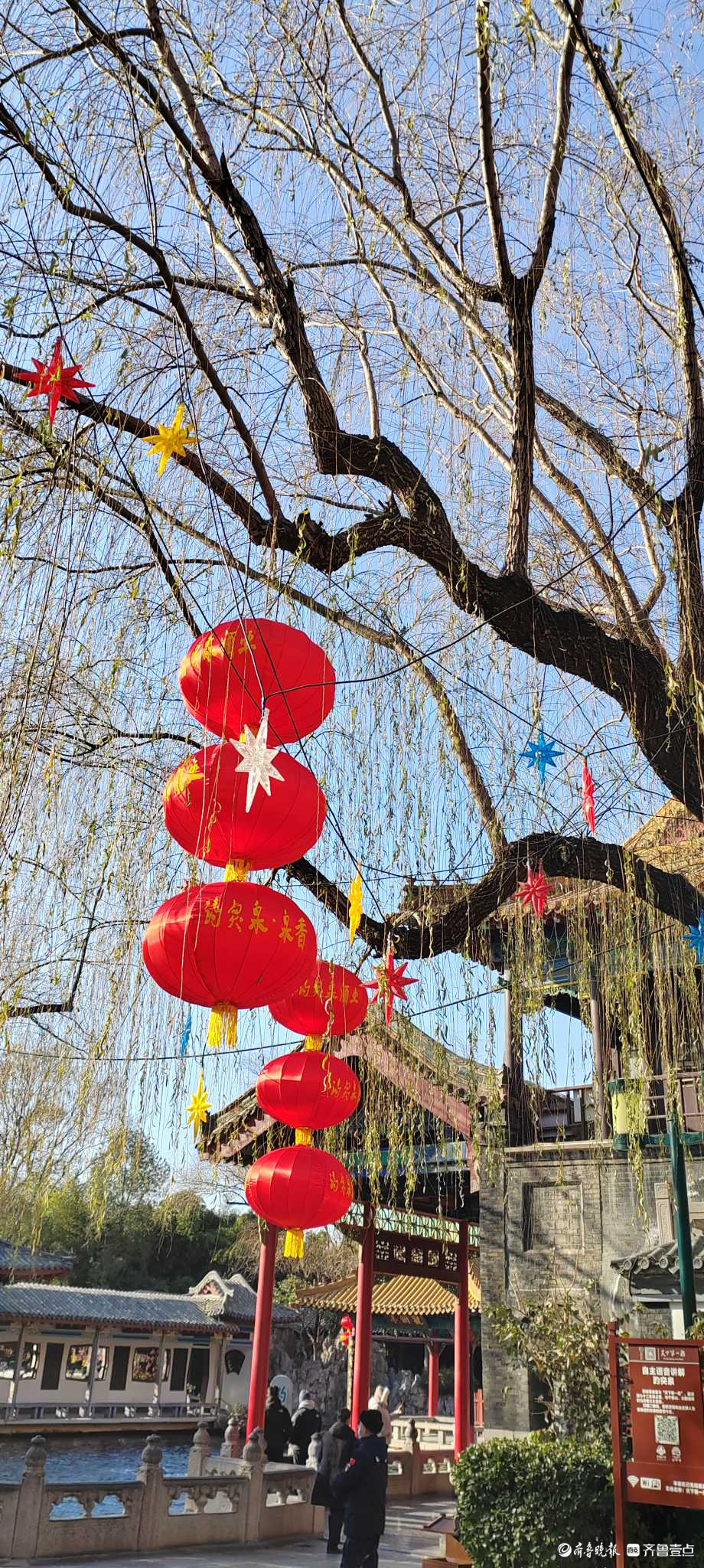 好景山东|红红火火！济南趵突泉大红灯笼高高挂，节日氛围感满满