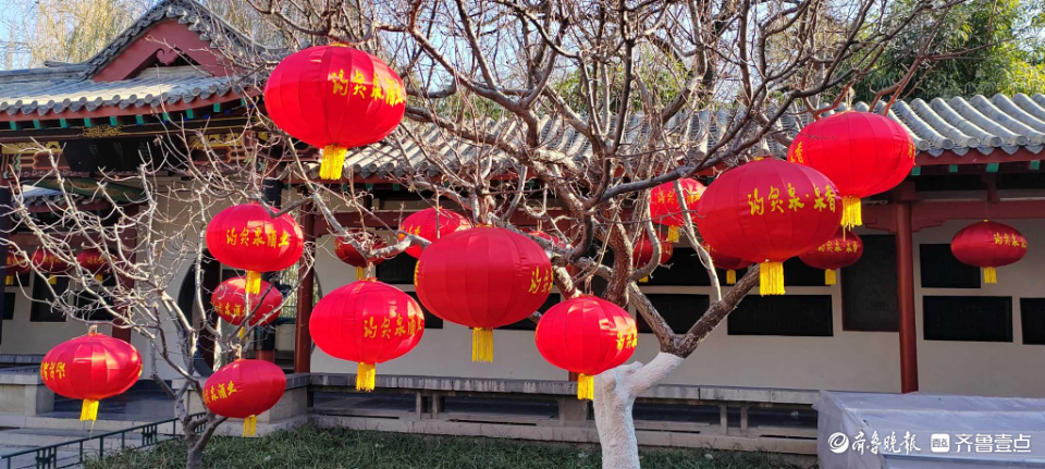 好景山东|红红火火！济南趵突泉大红灯笼高高挂，节日氛围感满满