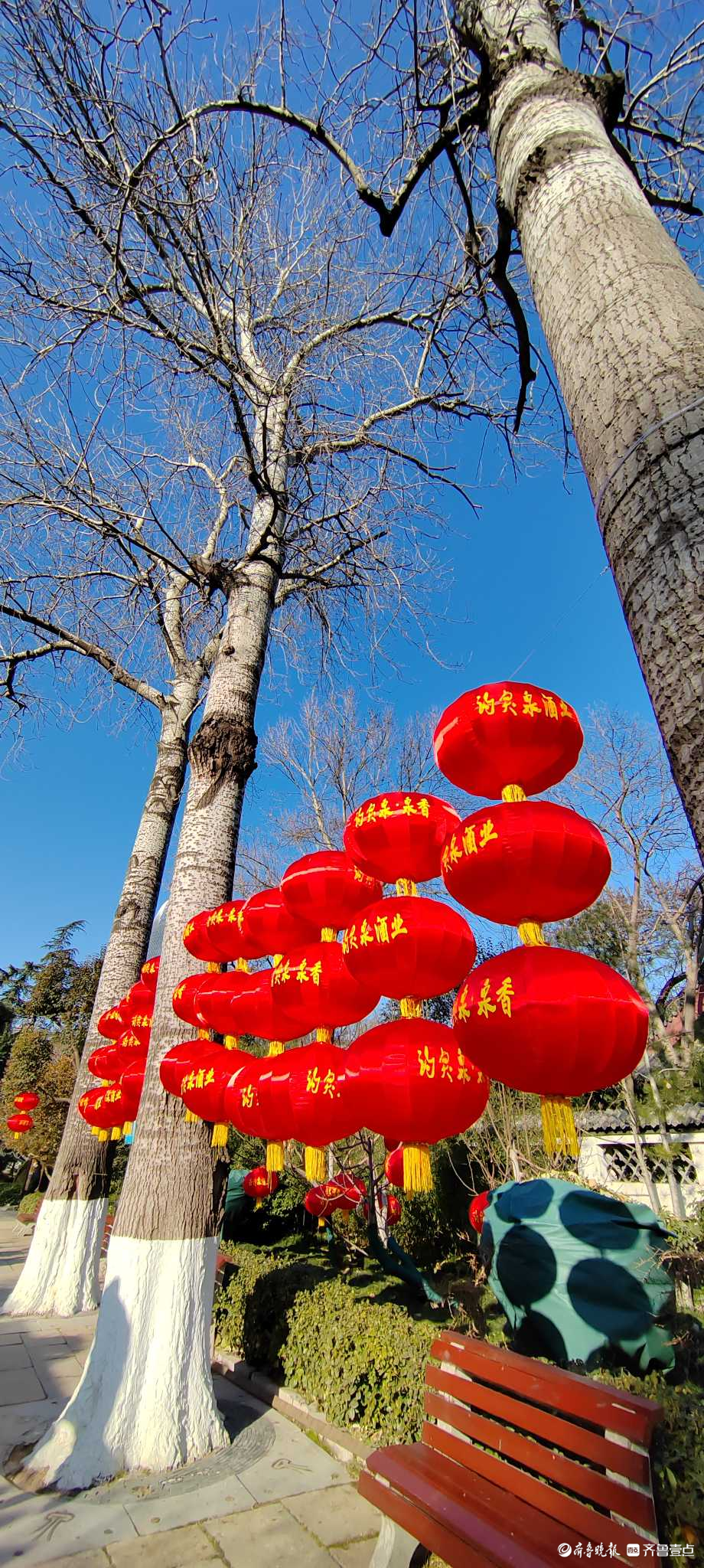好景山东|红红火火！济南趵突泉大红灯笼高高挂，节日氛围感满满
