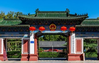 山东省人大常委会以高质量代表工作深入践行全过程人民民主