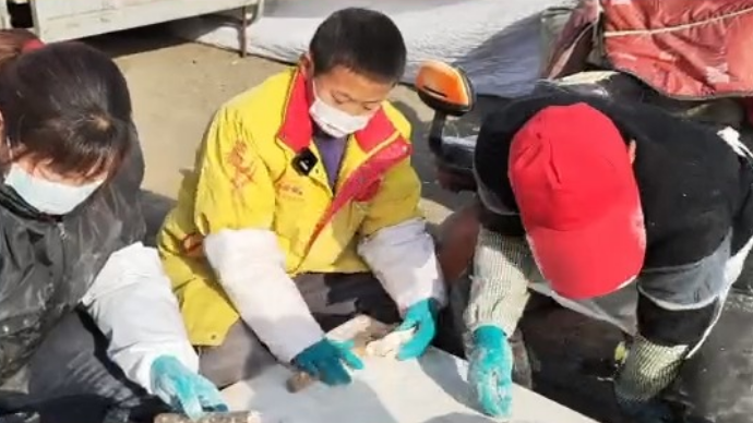 果然视频|一次擀一堆！青岛泊里大集“擀皮兄妹”备受关注