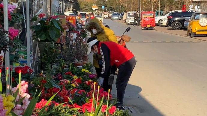 果然视频丨年味渐浓！枣庄花鸟鱼虫市场挺热闹 