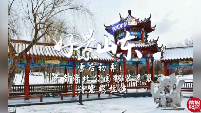 果然视频·好景山东|济南济北公园雪后初霁！诗意感拉满