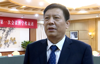 代表委员声音|张广宇建议：将大力发展内河航运上升为省级重大战略