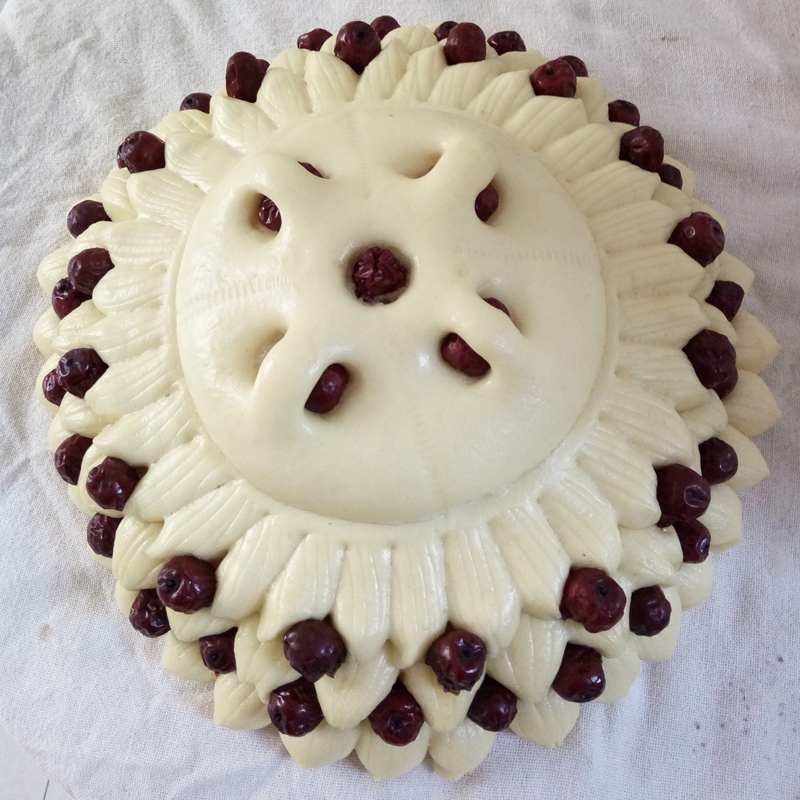 春节回乡手记|年年有余的圣虫-齐鲁晚报·齐鲁壹点