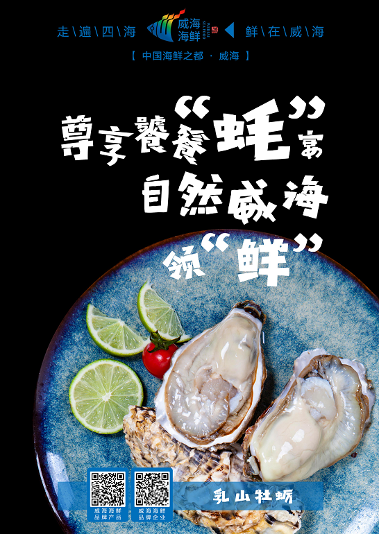 威海海鲜"码上"品鲜系列海报图之三:乳山牡蛎