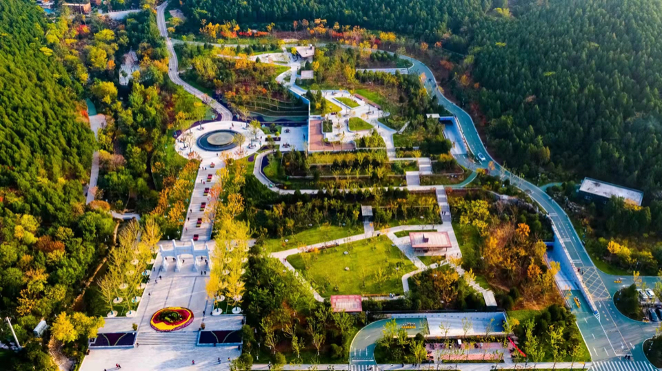 济南佛慧山景区成市民元宵打卡网红地-齐鲁晚报·齐鲁壹点