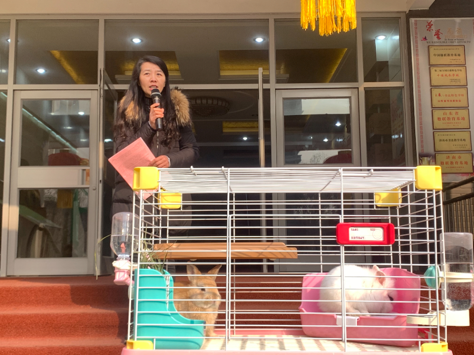 “奋发‘兔’强向未来”济南市德兴街小学学子新学期如约而至