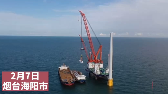 果然视频|风从海上来！海阳这一风电项目年可节约标煤47万吨