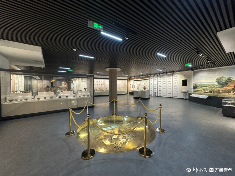 2月14日(周二)大汶口遗址博物馆试运行开放,刷身份证入馆-齐鲁晚报