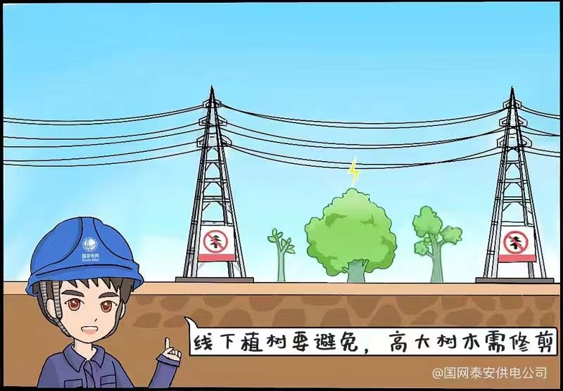 国网泰安供电公司:制作电力设施保护漫画,提升护线护电意识-齐鲁晚报