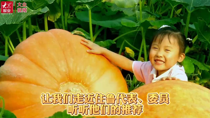  视频｜住鲁代表委员倾情推介“好客山东 好品山东”