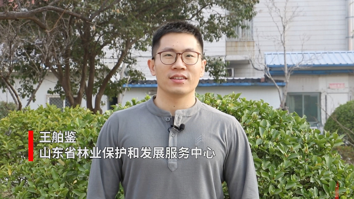 果然视频｜绿满齐鲁，全民义务植树运动在齐鲁大地蓬勃开展