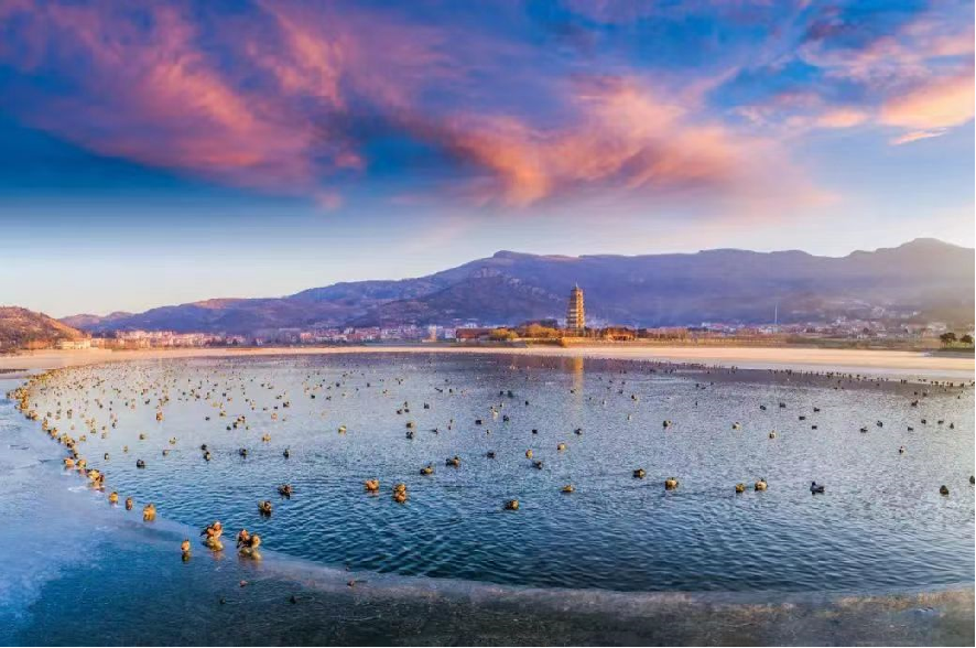 登花果神山览海滨风光连云港向临沂市民发出诚挚邀请