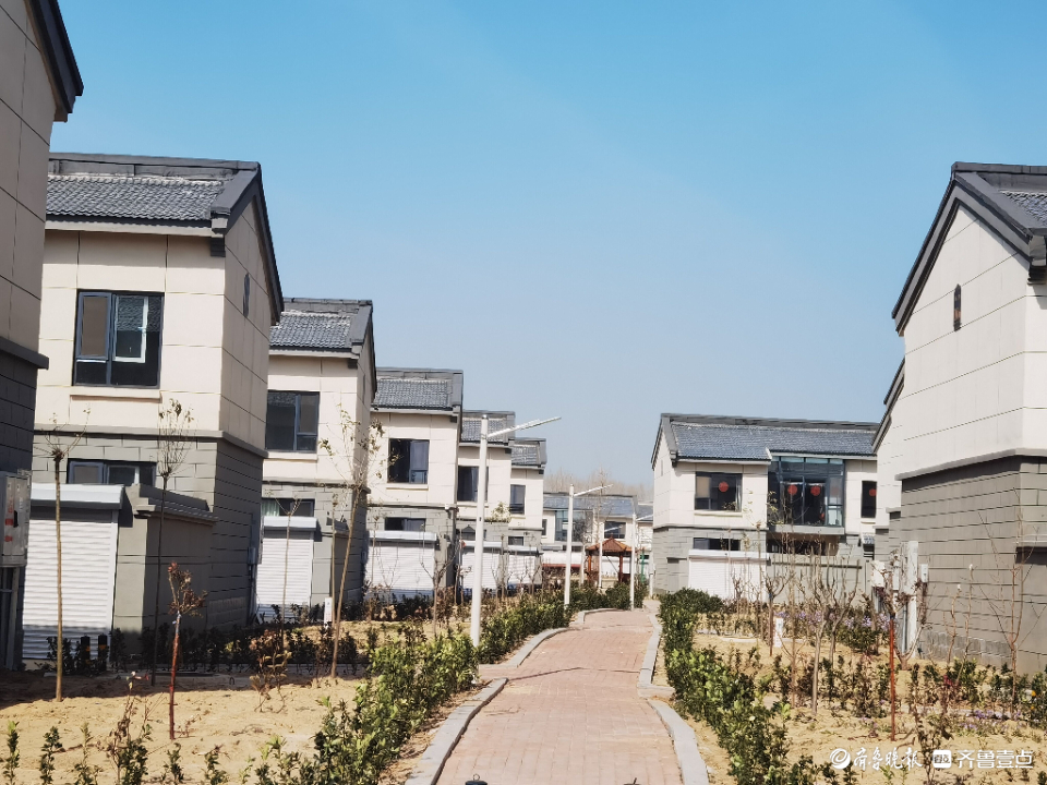 又到一年植树季,在聊城江北水城旅游度假区朱老庄镇赵王河新村东沿赵