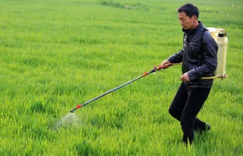 今年病虫害呈偏重发生态势，山东开展 “虫口夺粮”保丰收行动 