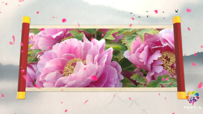 视频|菏泽宣传片⑤