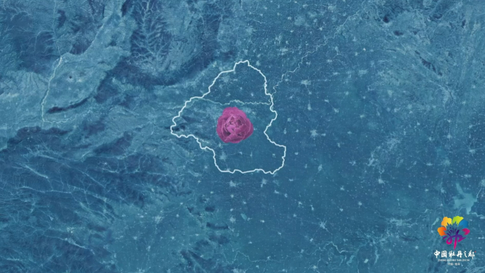 视频|菏泽宣传片⑦