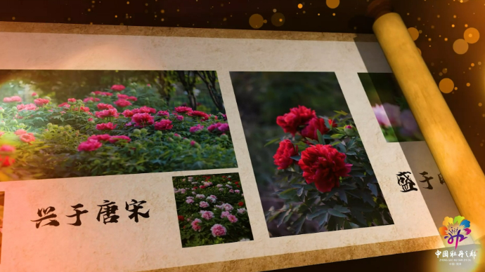 视频|菏泽宣传片⑧