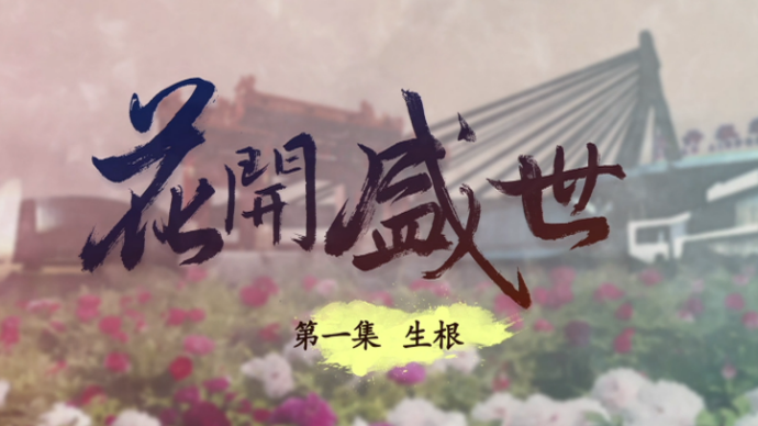 视频|《菏泽牡丹》第一集