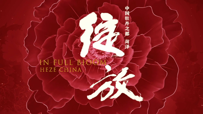 视频|菏泽城市形象片 -《绽放》