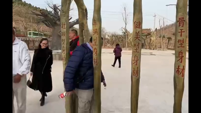 境外旅行商来泰安，到达昆仑山景区，大叔卡在“魔鬼身材”树桩