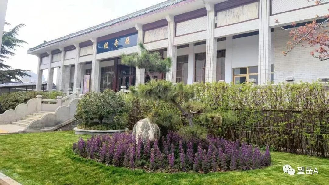 泰安"六郎坟",两代殡葬人,听泰山入殓师老范讲述生死故事-齐鲁晚报