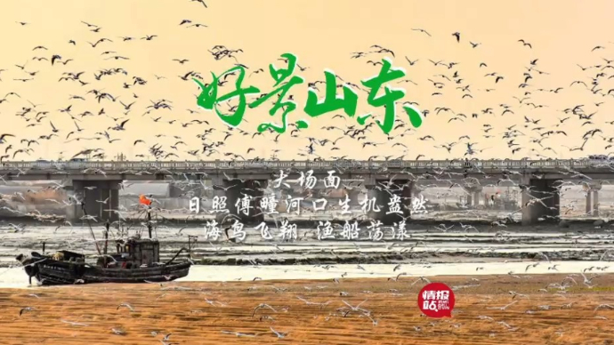 果然视频·好景山东|日照傅疃河口生机盎然，海鸟飞翔渔船荡漾