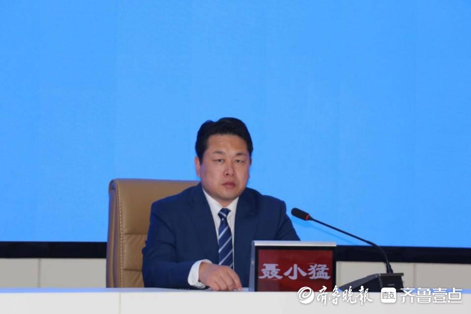 赏牡丹，就来古韵古香古今园、牡丹珍品百花园