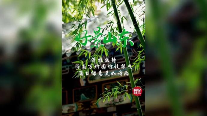 果然视频·好景山东|济南万竹园竹枝摇曳，满目绿意美如诗画 