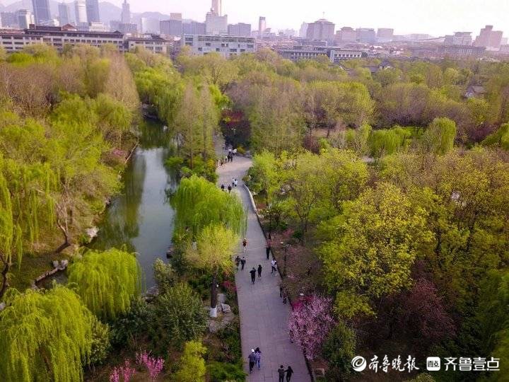 仲春济南大明湖航拍，桃红绿柳碧水蓝天