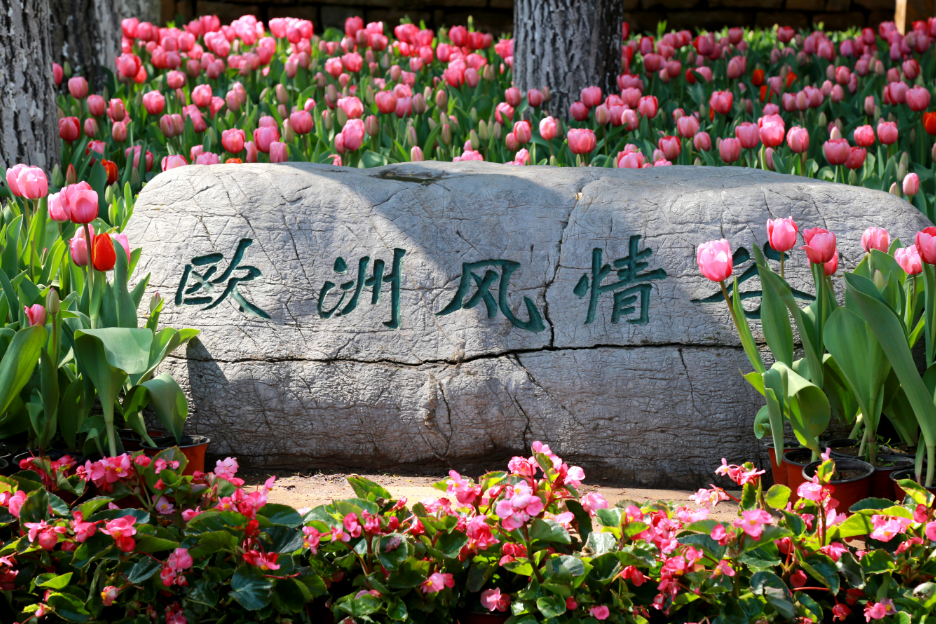 清明假期怎么玩？快来红叶谷踏青赏花，体验春日美好