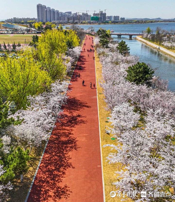 荣成九龙城樱花湖图片