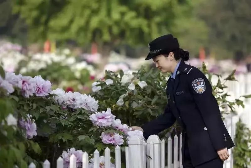 央视直播！牡丹公安带你赏菏泽牡丹盛宴~