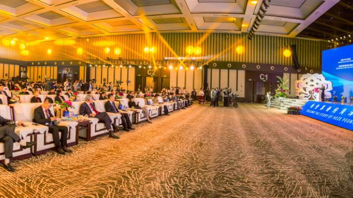 视频|向世界讲好菏泽牡丹故事 菏泽牡丹国际传播论坛成功举办