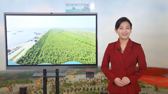 “我为大自然代言”科普讲解短视频｜“鲁柽1号”扮绿盐碱荒滩