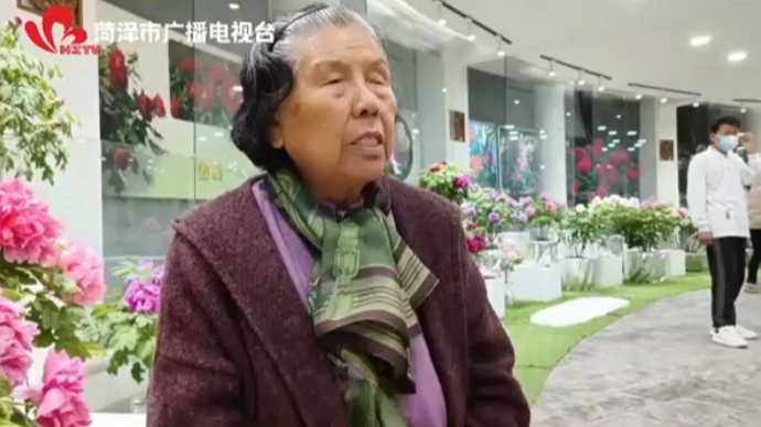 视频|全国牡丹赛花会赛出新亮点