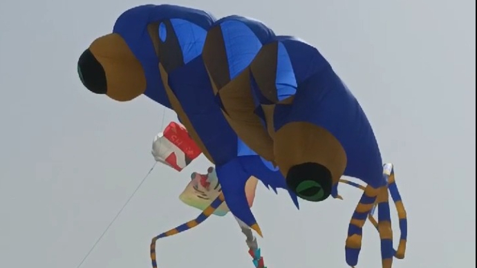 果然视频|第40届潍坊国际风筝会现场，“克苏鲁”风筝别具一格