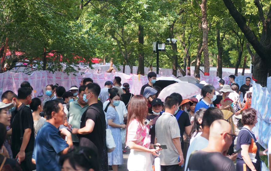 春风十里不如你,千佛山相亲大会与你共赴春天的浪漫-齐鲁晚报·齐鲁壹