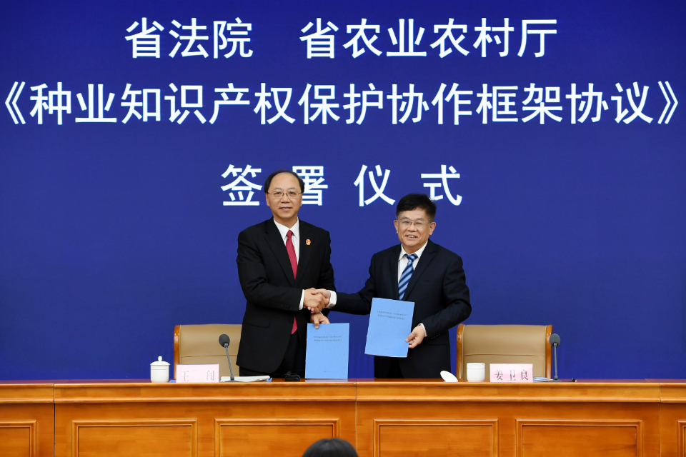 保护农业领域知识产权，山东高院与省农业农村厅签署框架协议