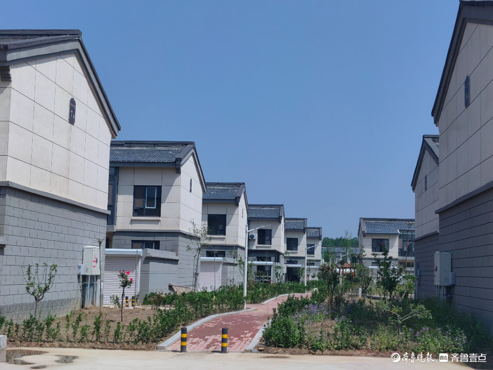 一村一品增春色因地制宜谋振兴|聊城度假区朱老庄镇村庄绿化纪实