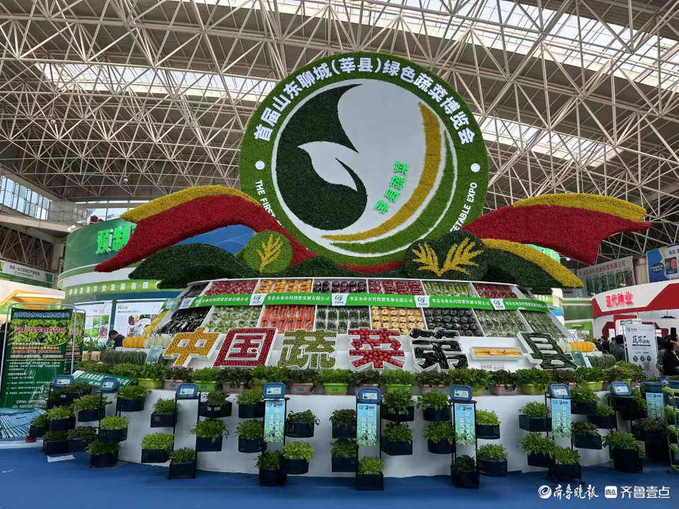 首届山东聊城(莘县)绿色蔬菜博览会开幕-齐鲁晚报·齐鲁壹点