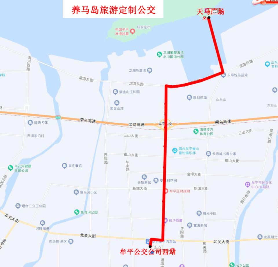 直达养马岛！“五一”期间，烟台牟平区新增一条旅游定制公交