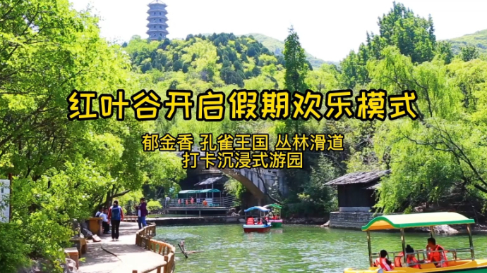 果然视频｜沉浸式打卡游园，红叶谷开启假期欢乐模式