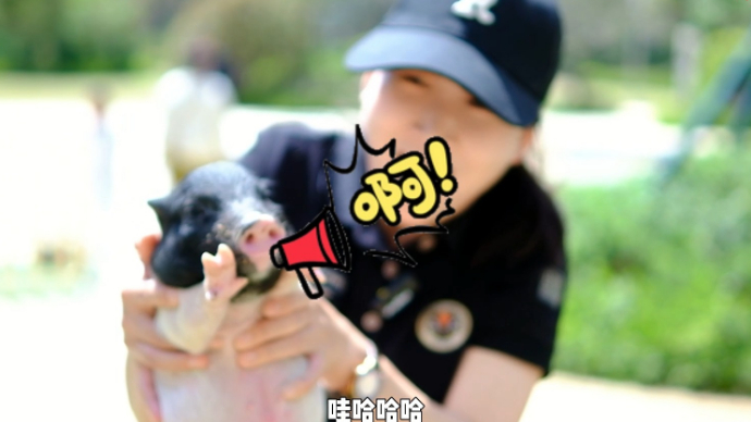 壹点探房|遛娃来这里！实探枣庄风华里的小萌宠们