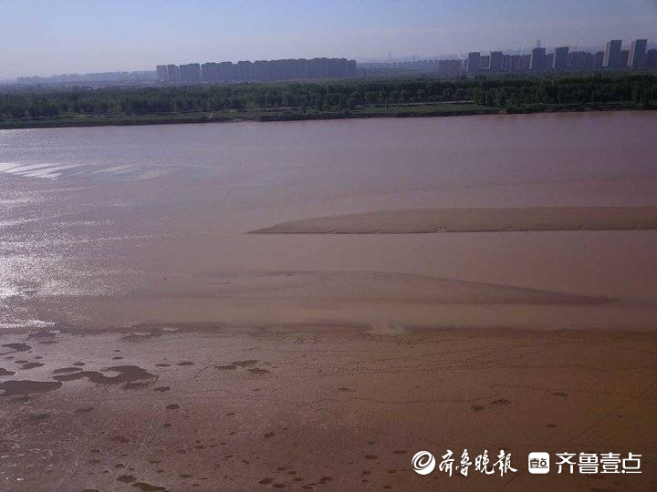 济南黄河段正处于年度低水位阶段，河底部分沙洲露出