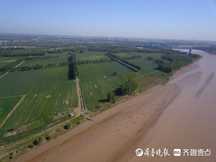 济南黄河段正处于年度低水位阶段，河底部分沙洲露出